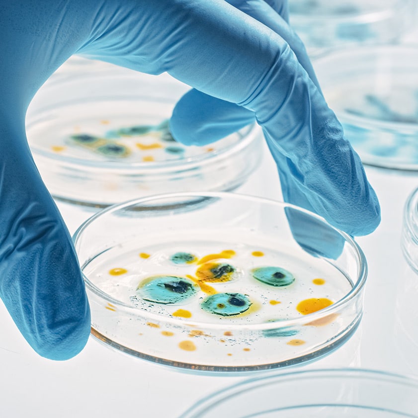 petri-dish