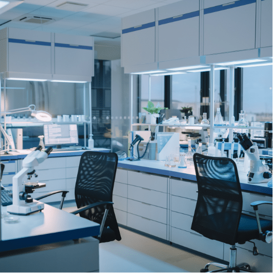 lab