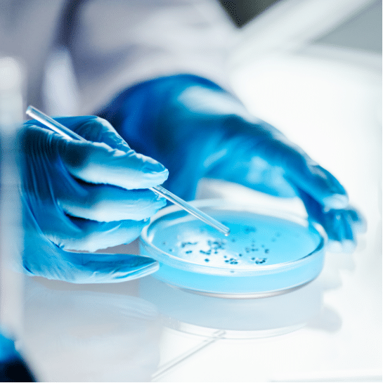 petri-dish