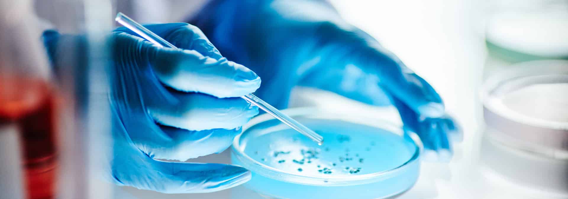 petri-dish-sample